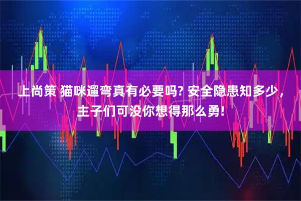 上尚策 猫咪遛弯真有必要吗? 安全隐患知多少,主子们可没你想得那么勇!